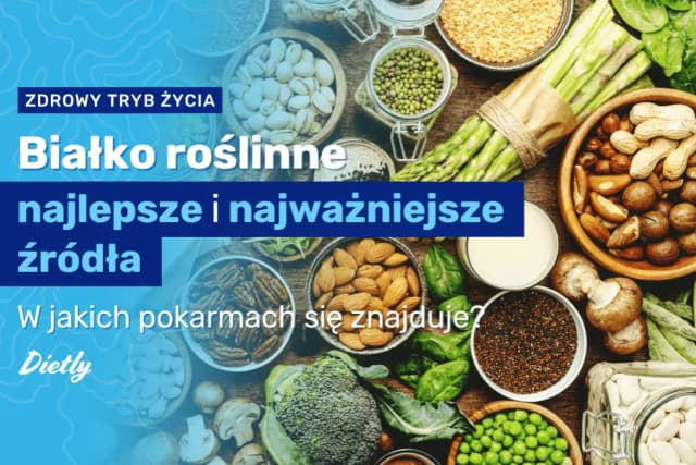 Co zawiera białko roślinne? Odkryj jego wartości odżywcze i źródła Co zawiera białko roślinne? Odkryj jego wartości odżywcze i źródła