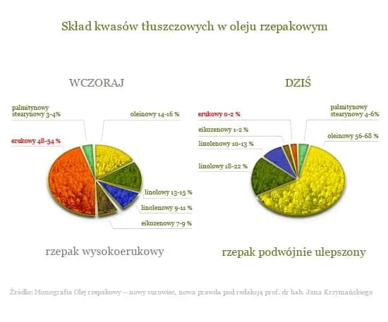 Czy olej rzepakowy to olej roślinny? Odkryj jego zdrowotne korzyści Czy olej rzepakowy to olej roślinny? Odkryj jego zdrowotne korzyści