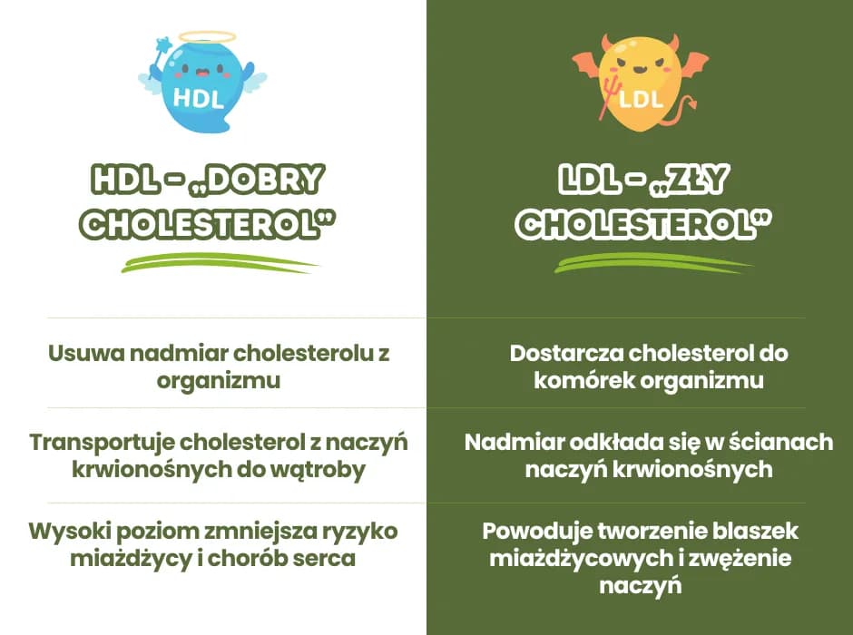 Jak obliczyć cholesterol LDL i uniknąć problemów zdrowotnych Jak obliczyć cholesterol LDL i uniknąć problemów zdrowotnych