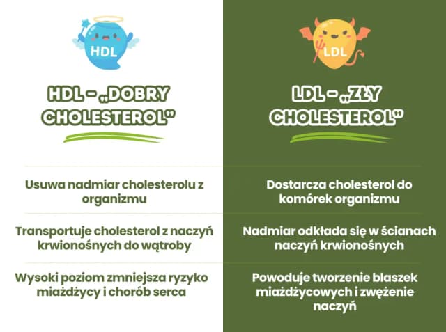 Jak obliczyć cholesterol LDL i uniknąć problemów zdrowotnych Jak obliczyć cholesterol LDL i uniknąć problemów zdrowotnych