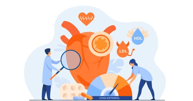 Jak podwyższyć cholesterol nie-HDL i poprawić zdrowie serca Jak podwyższyć cholesterol nie-HDL i poprawić zdrowie serca