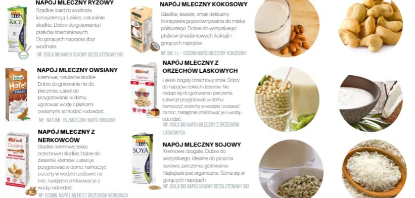 Czy mleko w proszku jest wegańskie? Odkryj prawdę o alternatywach Czy mleko w proszku jest wegańskie? Odkryj prawdę o alternatywach